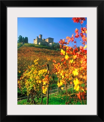 Italy, Piedmont, Langhe, Vineyards and Grinzane Cavour castle
