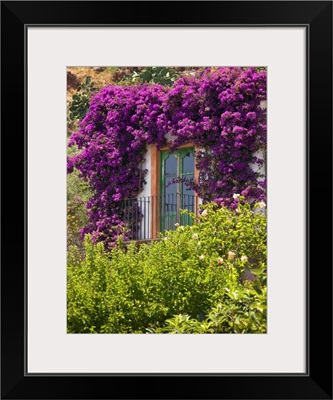 Italy, Sicily, Tyrrhenian sea, Lipari islands, Filicudi, Window with flowers