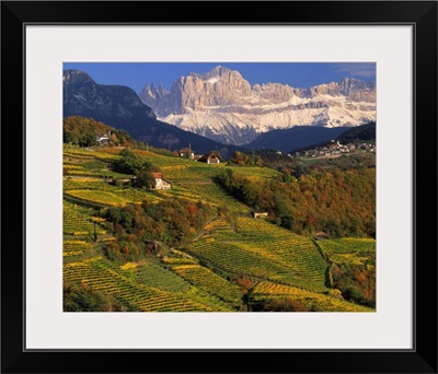 Italy, South Tyrol, Bolzano, Renon (Ritten), vineyard towards Catinaccio