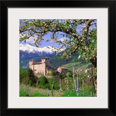 Italy, Trentino, Apple orchard and Castel Cles