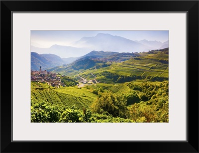 Italy, Trentino, Val di Cembra, Giovo, village of Giovo and vineyards of Val d'Adige
