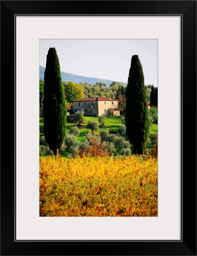 ITALY, TUSCANY, COUNTRY NEAR RUFINA, FLORENCE