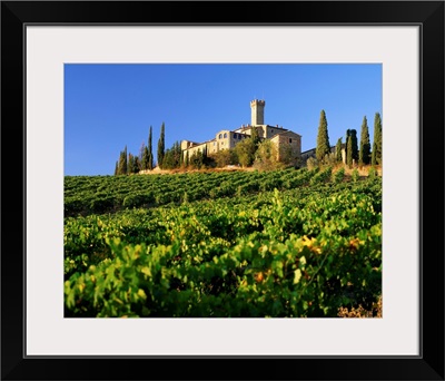 Italy, Tuscany, Banfi farm, vineyard and castle