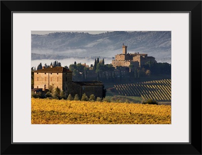 Italy, Tuscany, Brunello wine road, Orcia Valley, Montalcino, Poggio alle Mura Castle