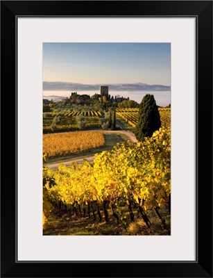 Italy, Tuscany, Brunello wine road, Orcia Valley, Sangiovese vineyards near Montalcino