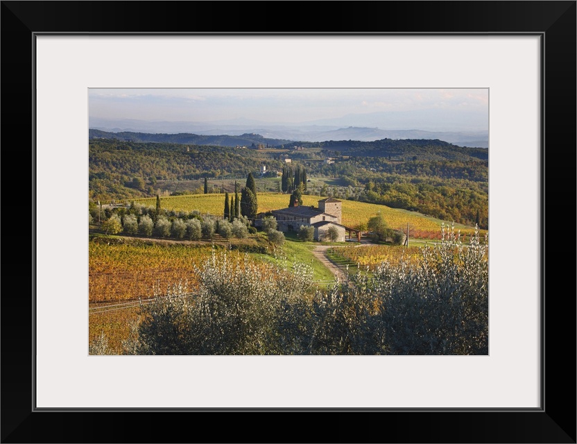 Italy, Tuscany, Chianti, Mediterranean area, Firenze district, Travel Destination, Vineyard