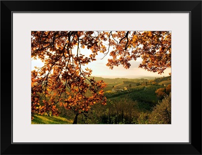 Italy, Tuscany, Countryside near Certaldo town