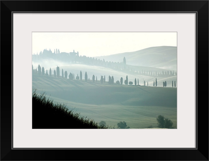 Italy, Tuscany, Landscape near Siena.