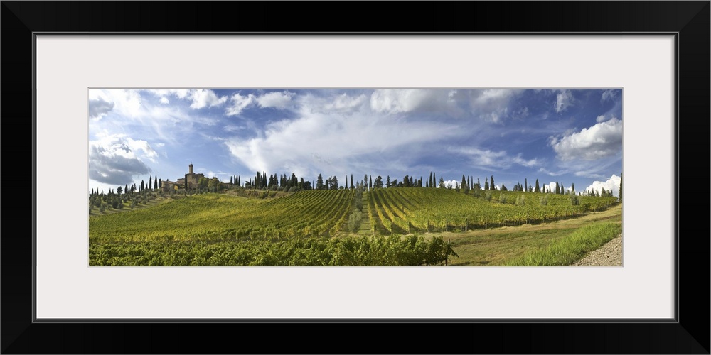 Italy, Tuscany, Montalcino, Poggio Alle Mura castle, Banfi vineyards