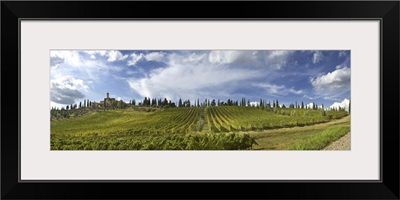 Italy, Tuscany, Montalcino, Poggio Alle Mura castle, Banfi vineyards