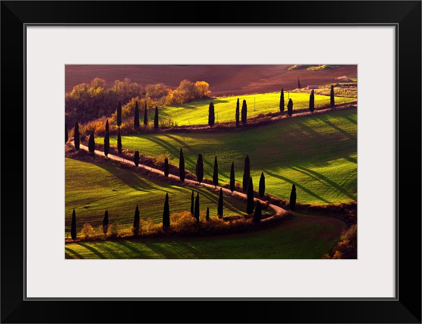 Italy, Tuscany, Orcia Valley, Rolling landscape