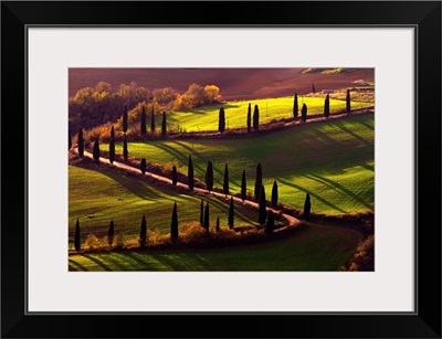 Italy, Tuscany, Orcia Valley, Rolling landscape
