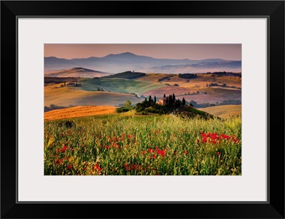 Italy, Tuscany, Orcia Valley, Typical country house near San Quirico d'Orcia