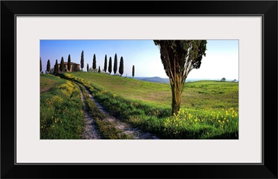 Italy, Tuscany, Orcia Valley, Typical landscape