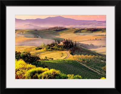 Italy, Tuscany, Orcia Valley, Typical landscape near San Quirico d'Orcia town