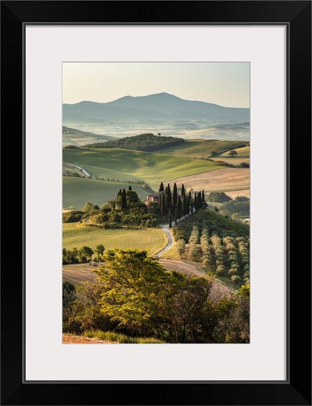 Italy, Tuscany, Siena district, Orcia Valley, San Quirico d'Orcia, Podere Belvedere, typical farmhouse near San Quirico d'...