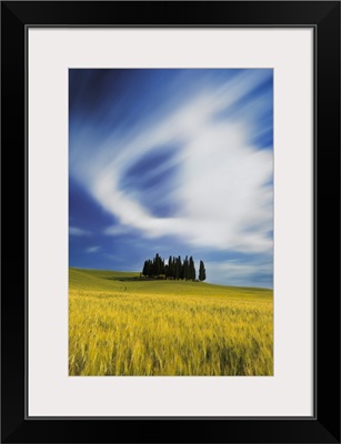 Italy, Tuscany, San Quirico d'Orcia, Typical landscape near San Quirico d'Orcia