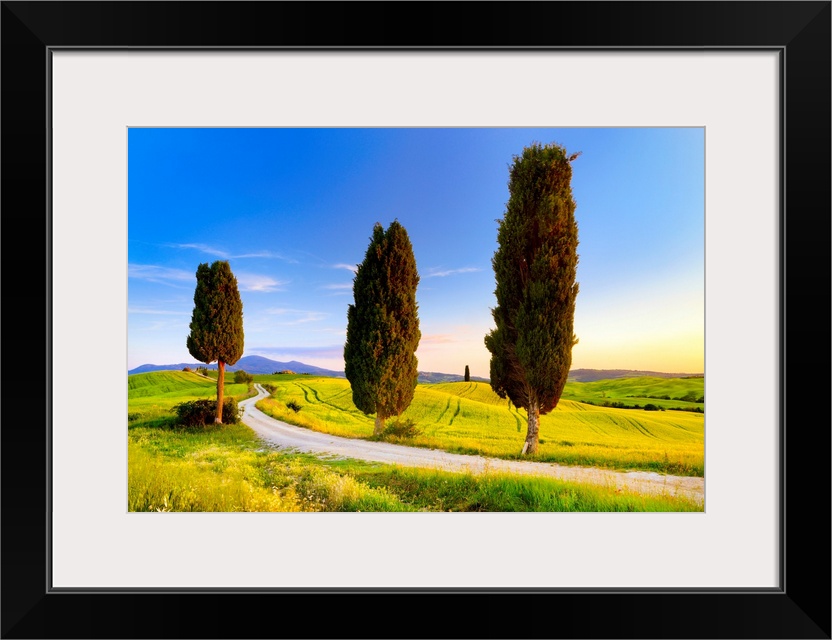 Italy, Tuscany, Siena district, Orcia Valley, Tuscan landscape near Pienza.