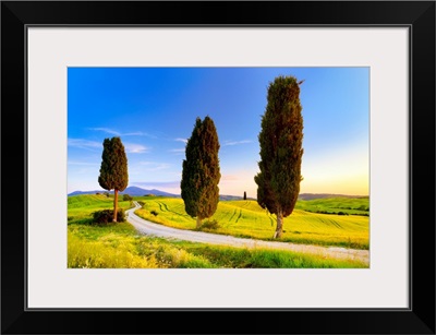 Italy, Tuscany, Siena District, Orcia Valley, Tuscan Landscape Near Pienza
