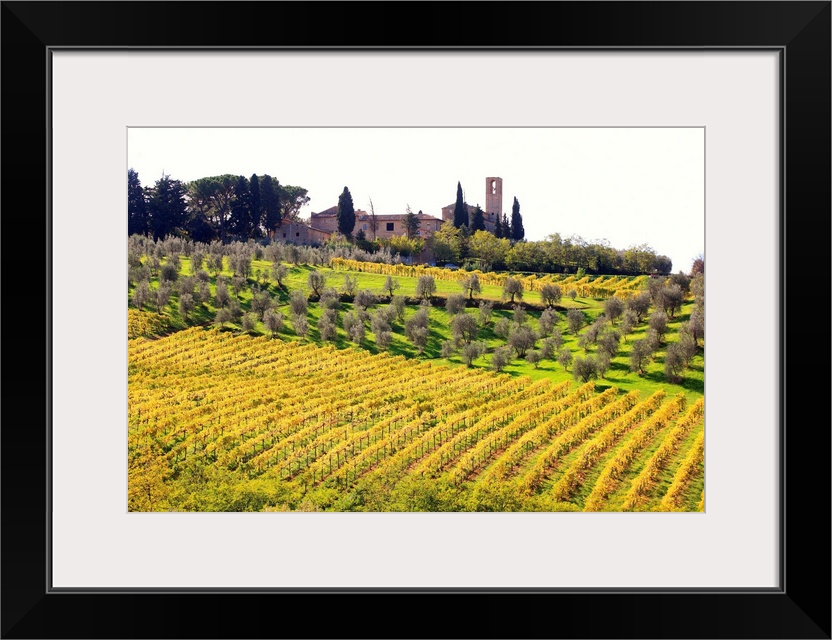 Italy, Tuscany, Val d'Elsa, Countryside near San Gimignano village