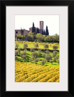 Italy, Tuscany, Val d'Elsa, Countryside near San Gimignano village