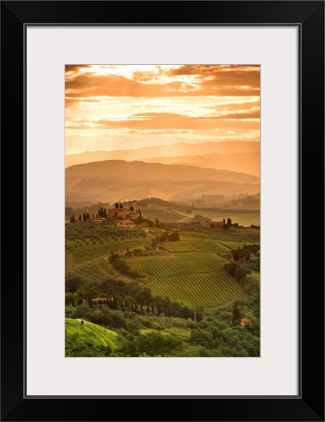 Italy, Tuscany, Val d'Elsa, Sunrise over a typical rural Tuscan landscape