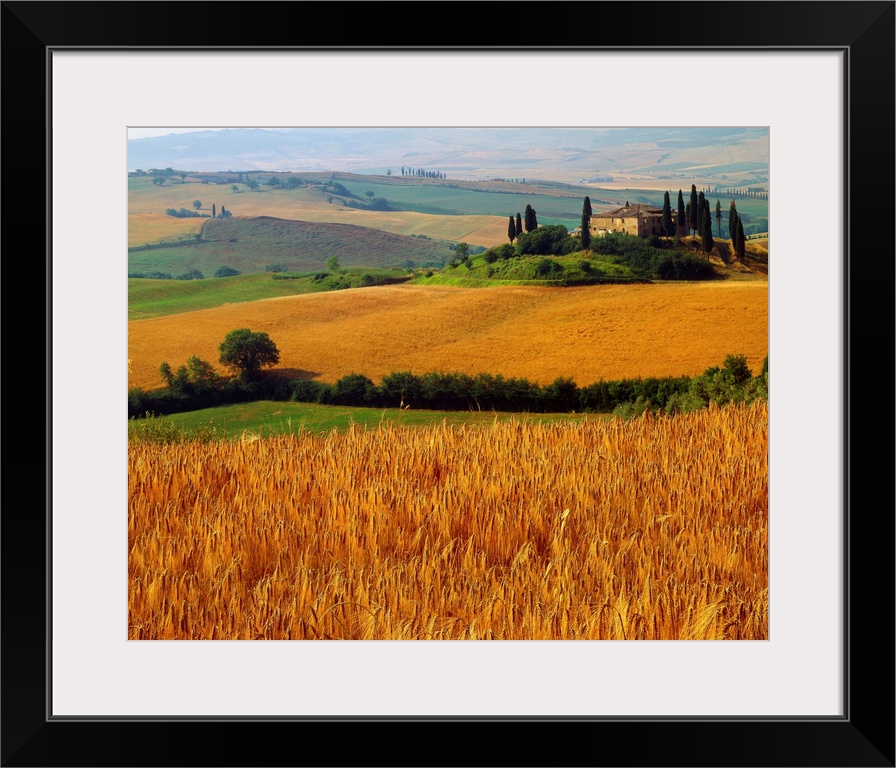 Italy, Tuscany, Val d'Orcia, typical countryside