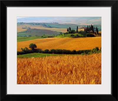 Italy, Tuscany, Val d'Orcia, typical countryside