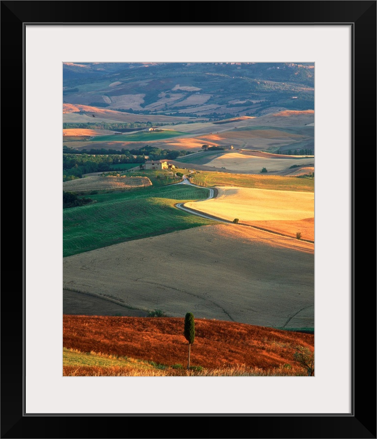 Italy, Tuscany, Val d'Orcia, typical countryside near Pienza