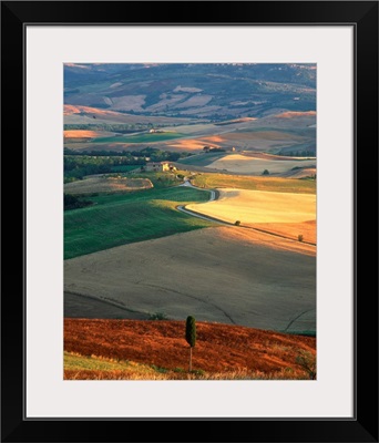 Italy, Tuscany, Val d'Orcia, typical countryside near Pienza