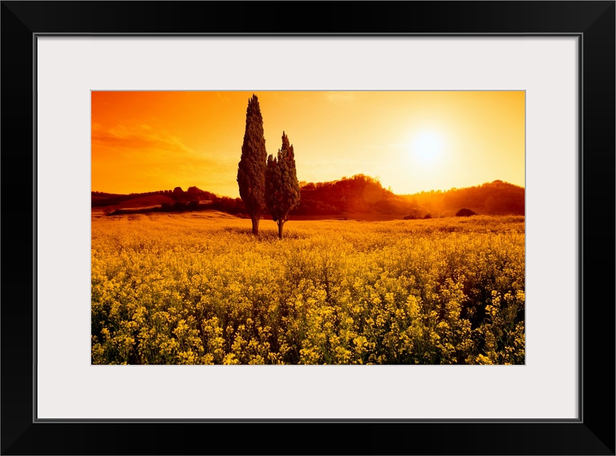 Italy, Tuscany, Val d'Orcia, typical landscape