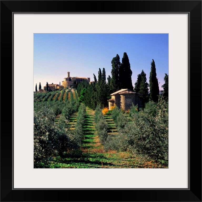 Italy, Tuscany, Villa on hills