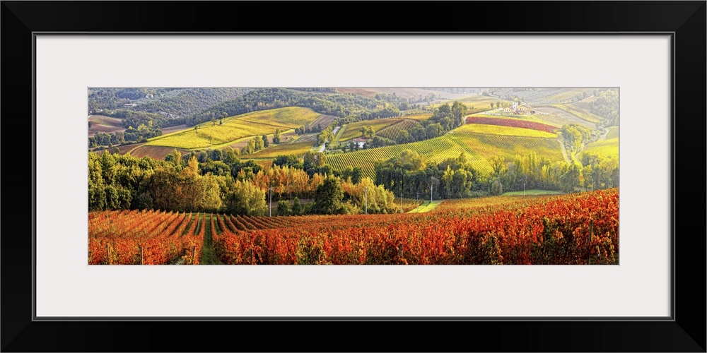 Italy, Umbria, Mediterranean area, Perugia district, Gualdo Cattaneo, Colpetrone winery, vineyards