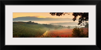 Italy, Umbria, Perugia district, Panoramic view of Castel Ritaldi hills