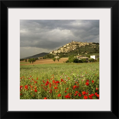 Italy, Umbria, Trevi, Mediterranean area, Perugia district