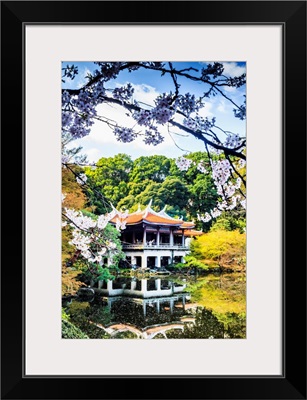 Japan, Kanto, Tokyo, Shinjuku, Cherry Blossom, Sakura, In Shinjuku Gyoen National Garden