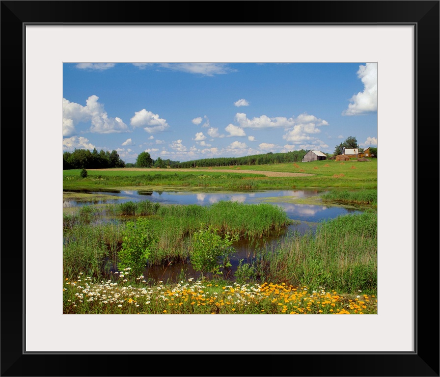 Lithuania, Countryside landscape