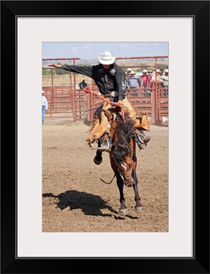 Montana, Crow Agency, Bronco riding during the All Indian Rodeo at the Annual Crow Fair