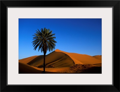 Morocco, Erg Chebbi Desert