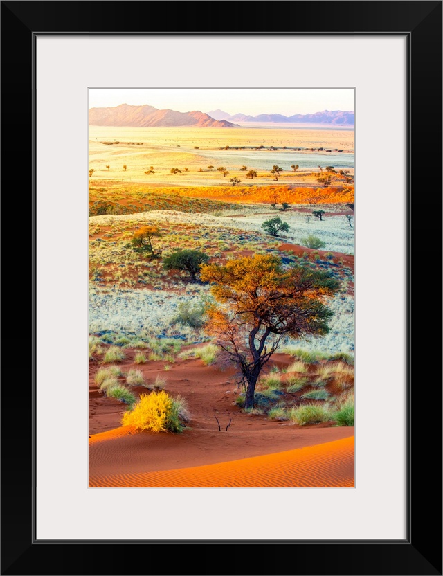 Namibia, Hardap, Namib Desert, Namib-Naukluft National Park, Petrified dunes at sunset.