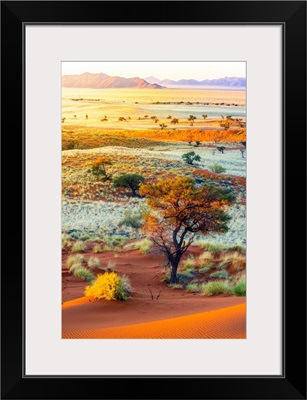 Namibia, Hardap, Namib Desert, Namib-Naukluft National Park, Petrified Dunes At Sunset