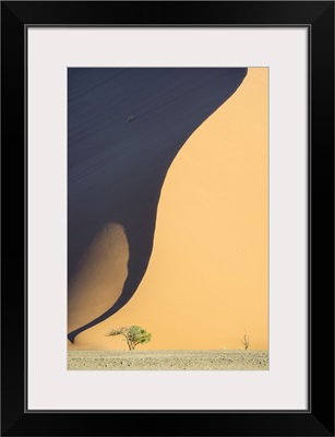 Namibia, Hardap, Sossusvlei, Namib Desert, High Sand Dunes