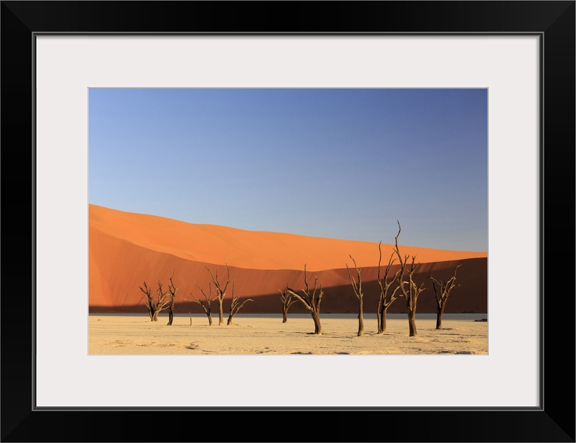 Namibia, Hardap, Sossusvlei, Namib Desert, Namib-Naukluft National Park, Deadvlei