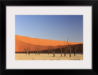 Namibia, Hardap, Sossusvlei, Namib Desert, Namib-Naukluft National Park, Deadvlei