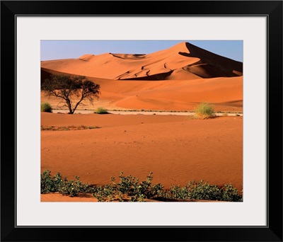 Namibia, Namib Dessert,  Namib Naukluft Park, Sossusvlei Dunes