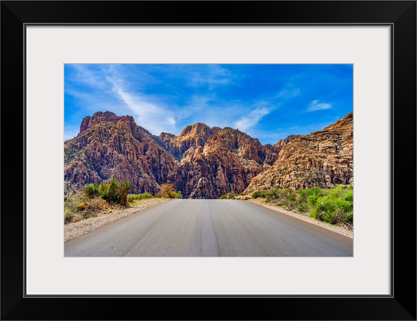 Nevada, Mojave Desert, Red Rock Canyon National Conservation Area.