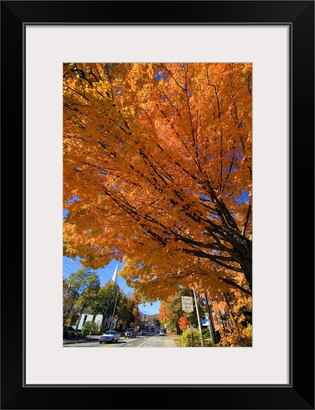 New Hampshire, North Conway, White Mountains, The main road in autumn