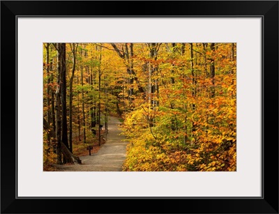 New Hampshire, White Mountains, The Flume Gorge, The path in autumn