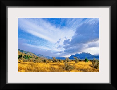 New Zealand, South Island, Mount Cook National Park