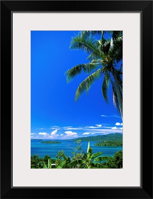 Oceania, Solomon Islands, Marovo Lagoon, Marovo Island